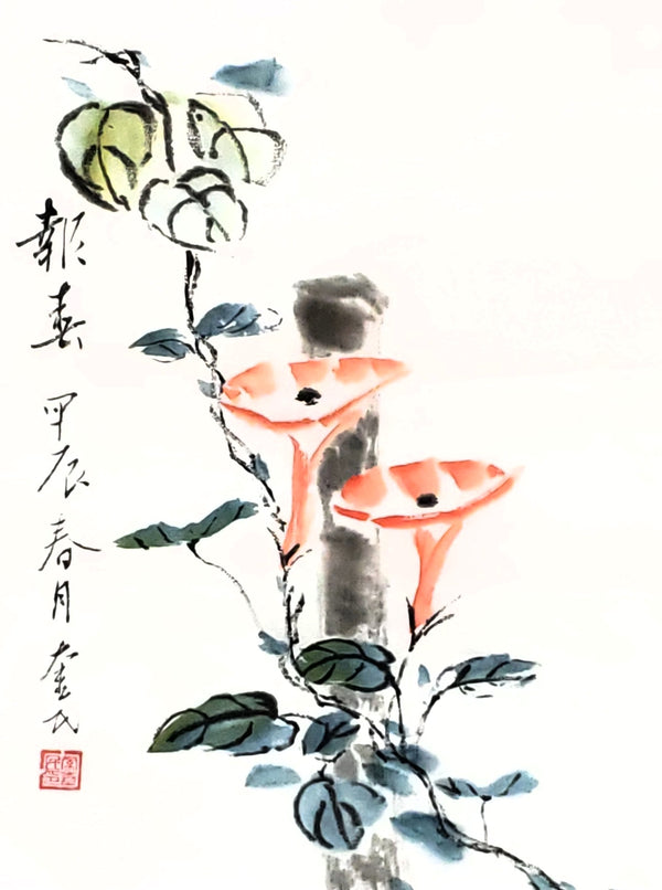 牵牛